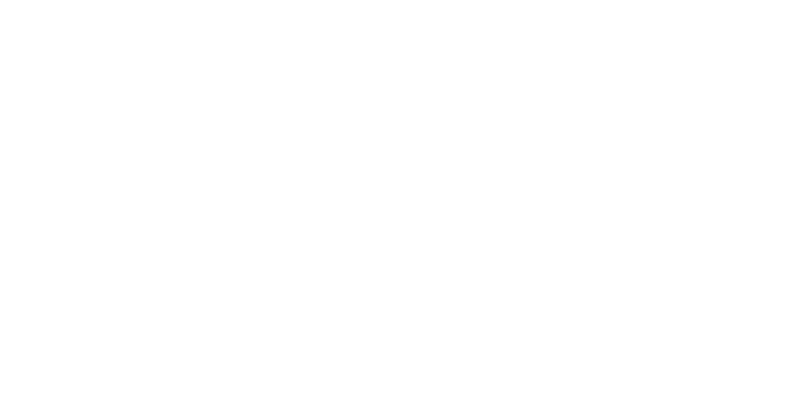 VAGA